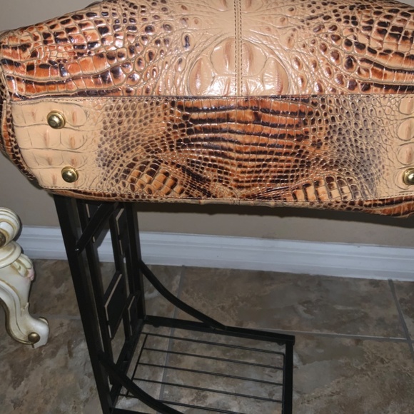 Brahmin - Picture 8 of 9